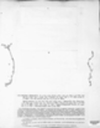 Stemphylium vesicarium image